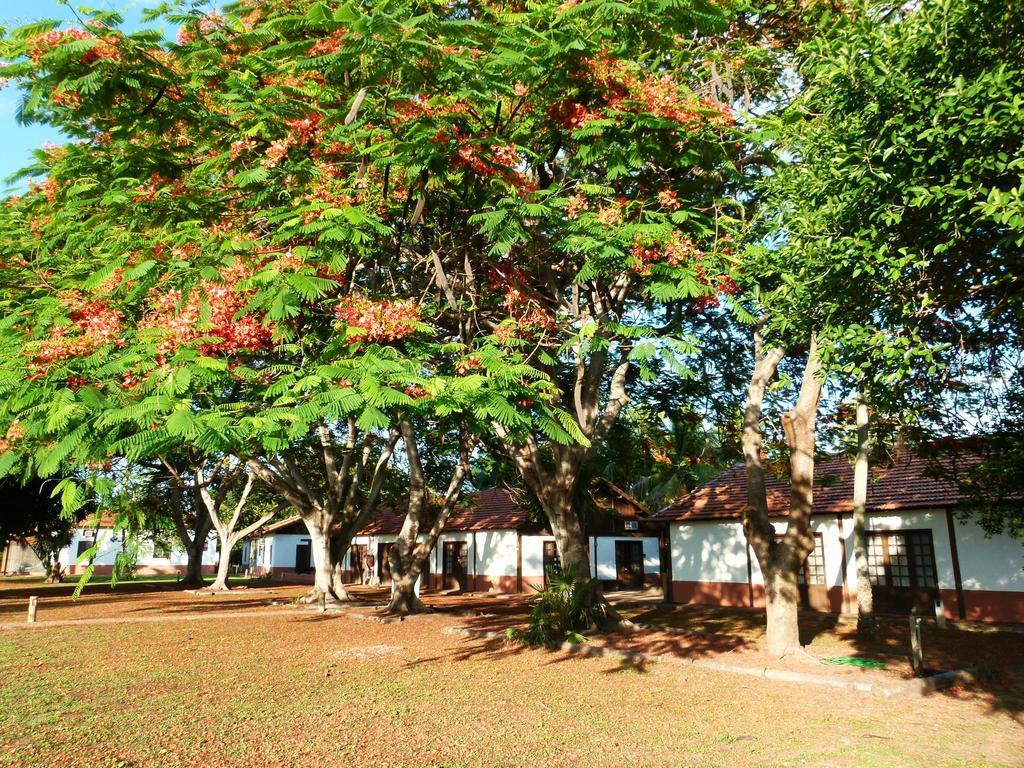 Pousada Fazenda Xaraes Todos os Santos Exterior photo