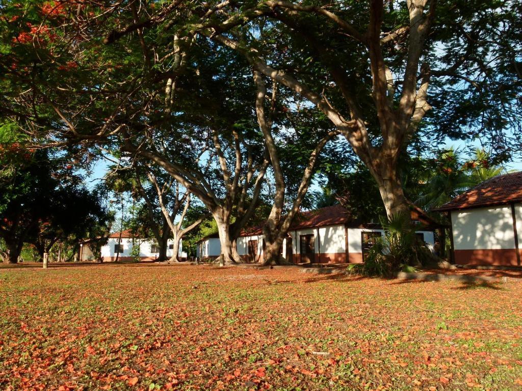 Pousada Fazenda Xaraes Todos os Santos Exterior photo